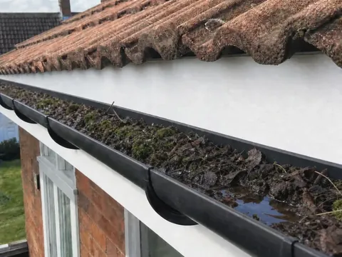 Gutter full of moss and debris before cleaning